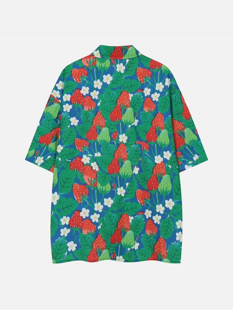 Chemise à Manches Courtes Aelfric Eden All-over Strawberry Print Vert | BXK-32630588